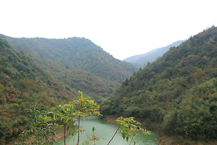 青山绿水-宁乡资福镇珊瑚村-村村通