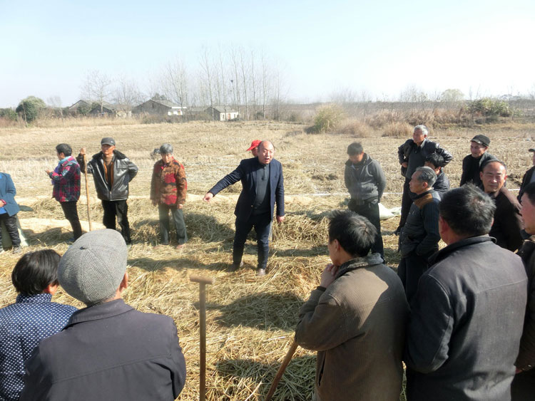 安徽天都灵芝制品公司—丁教授指导技术