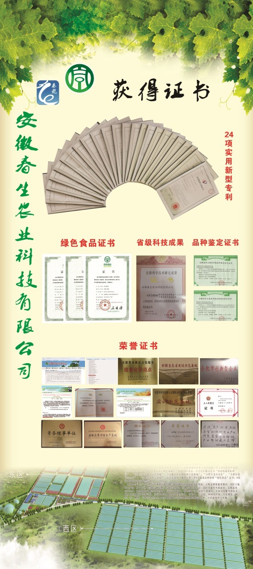 公司荣誉——荣誉证书