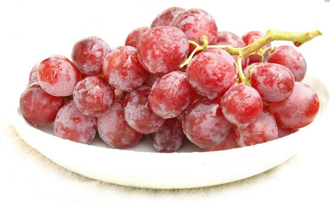 合肥佳和美果蔬专业合作社——红巴莉葡萄