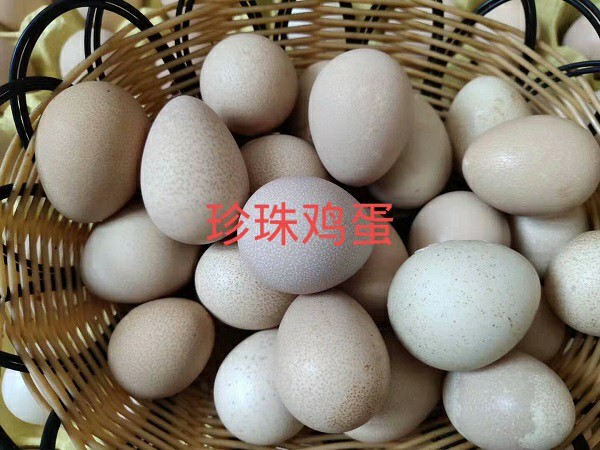 珍珠鸡蛋