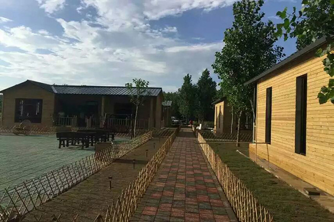 涿州泗各庄|涿州葵园漫步|涿州葵花小镇|涿州文化名村