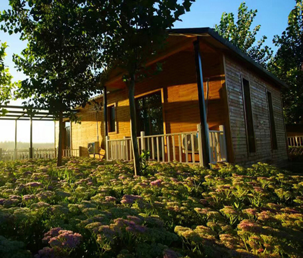 涿州泗各庄|涿州葵园漫步|涿州葵花小镇|涿州文化名村