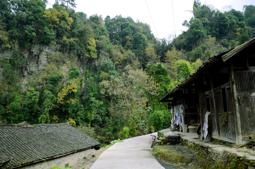 淇滩镇茶坛村-村村通